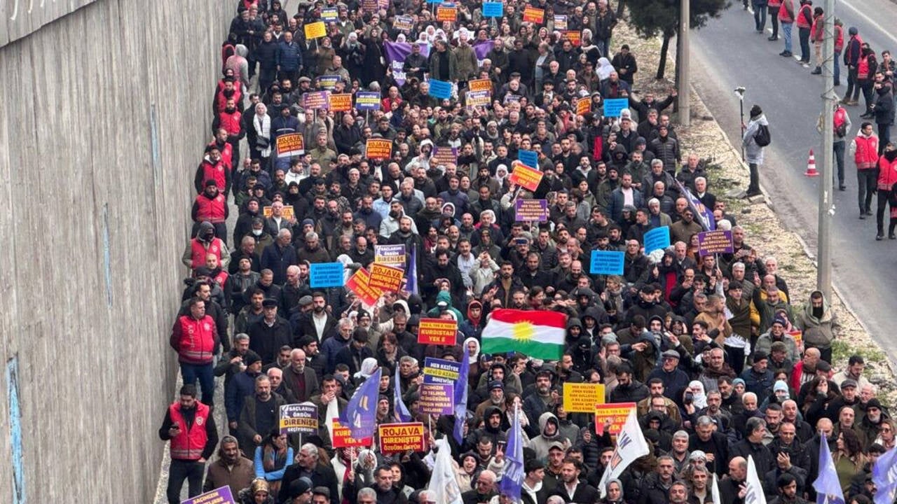 Anayasal güvence talebi