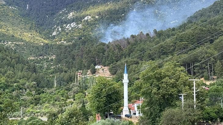 Antalya Kaş’ta orman yangını! Havadan karadan müdahale